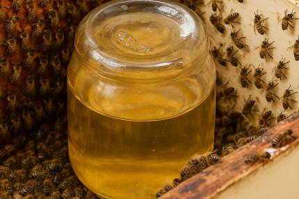 Obrázek Frühjahrsanregung und Fütterung der Bienen – Fortsetzung