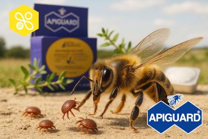 Obrázek Apiguard – Anleitung für ein natürliches Mittel gegen Varroa destructor