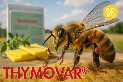 Obrázek Erfahrungen mit THYMOVAR® zur Bekämpfung der Varroose