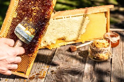 Obrázek Hausgemachtes Rezept für Entdeckelungswachs-Schnaps