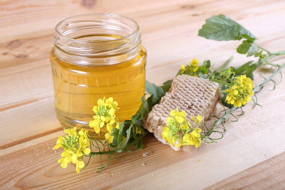 Obrázek Gewinnung von Bienenprodukten – Wachs und Honig