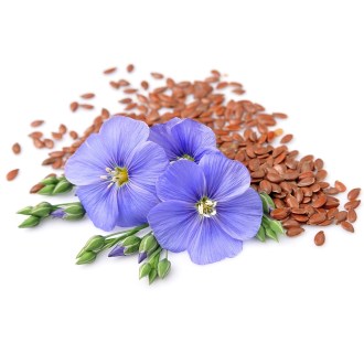 Gesäter Flachs - 0,5 kg