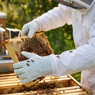 Lederhandschuhe - Ziege - S-XXL