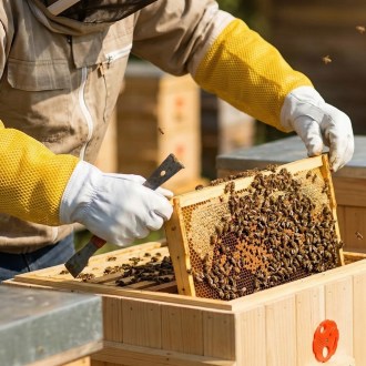 Lederhandschuhe - Ziege - mit Belüftung - S-XXL