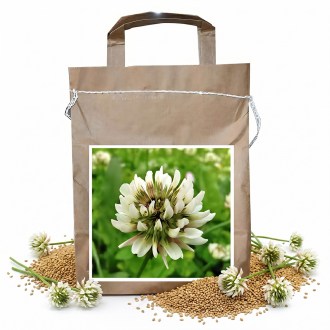 Kriechender Klee JURA 1 kg