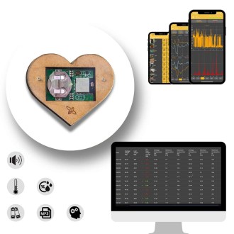 Bienenstock Sensor Bee Heart