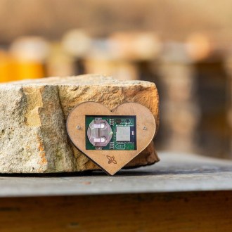 Bienenstock Sensor Bee Heart