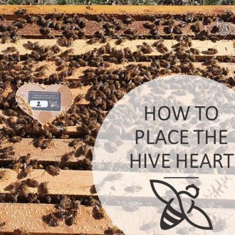 Bienenstock Sensor Bee Heart