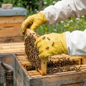 Imprägniertes Lederhandschuhe - S-XXL